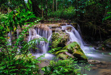 Waterfall in the national park forest
