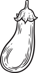Eggplant and slices line drawing vector illustration.