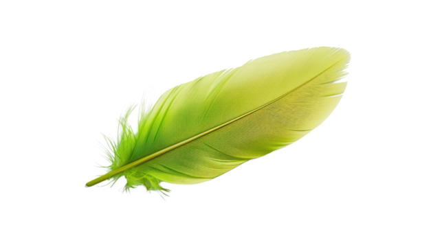 Green feather on transparent background