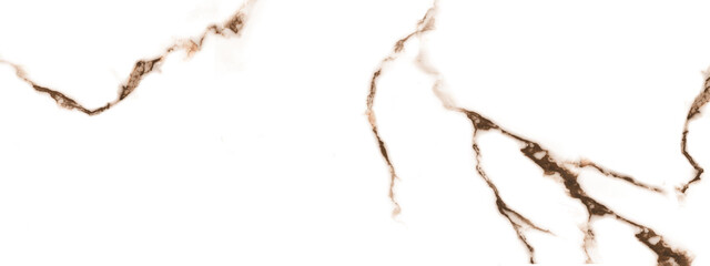 white background in grey and brown veins