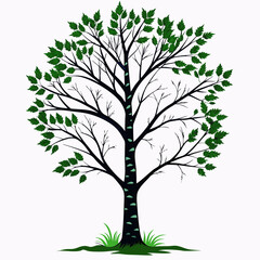 tree with leaves vector illustration 