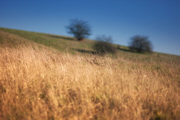 Obraz premium Pomorze