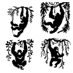 Orangutan  Swinging from vines silhouette isolated on white background © Haider