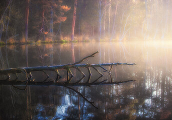 Jesienny poranek nad jeziorem © Robert