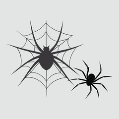 Spider Web and Spider Silhouette Illustration for P