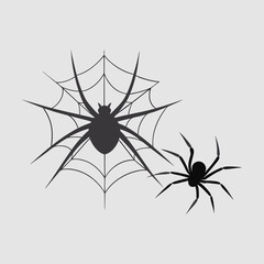 Spider Web and Spider Silhouette Illustration for P