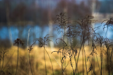 Pomorze © Robert