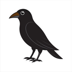 Bird vector