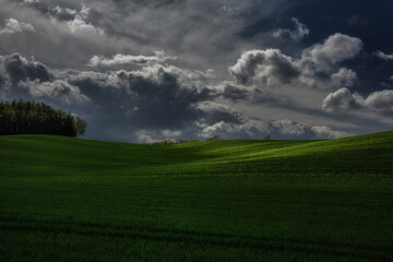 Chmury nad polem © Robert