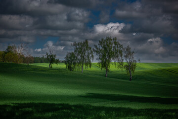 Chmury nad polem © Robert