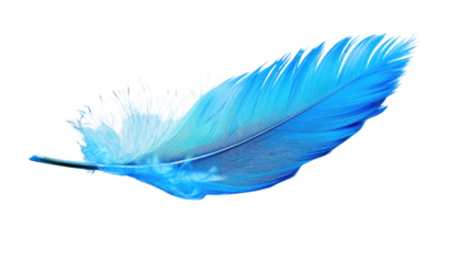 Blue feather on transparent background