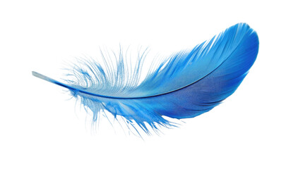 Blue feather on transparent background © Krtola 