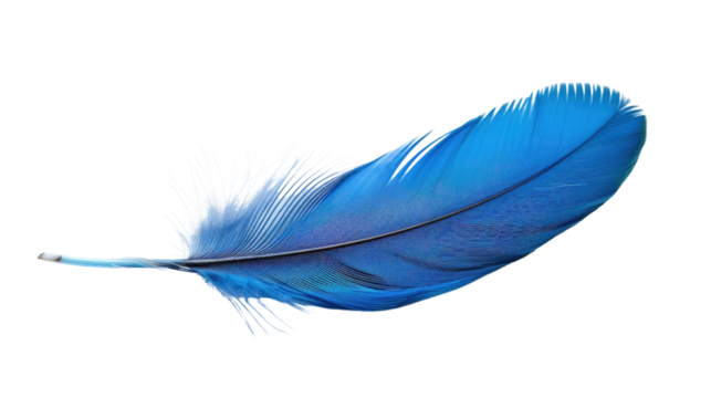 Blue feather on transparent background