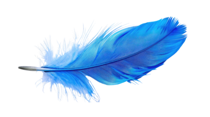 Blue feather on transparent background