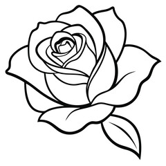 Rose flower silhouette with white background