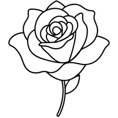 Rose flower silhouette with white background