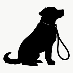 black labrador retriever