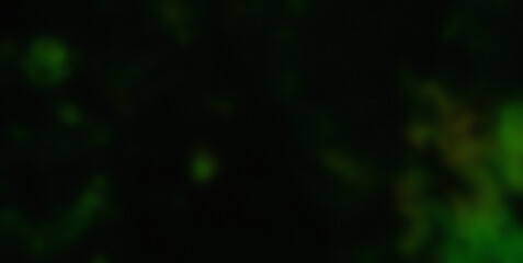 Funky Geometric Fantasia Brimming with Vibrant Colors and Abstract Patterns, Creating a Captivating Visual Journey
