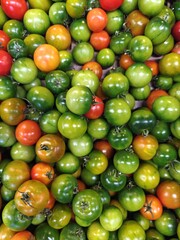 Bunte Tomaten