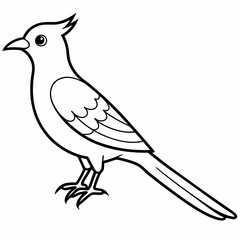 bird on white background