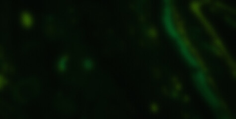 Whimsical and Energetic Colorburst Creating a Captivating and Abstract Visual Experience
