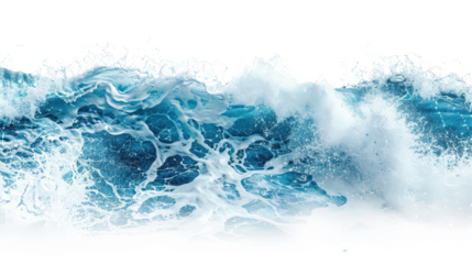 Sea wave on a transparent background