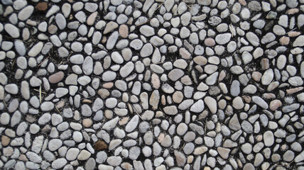 Close-Up View of Small Round Pebble Stones in Various Shades on a Black Surface
