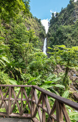 Waterfall in Dominica, Caribbean. Trafalgar Falls.