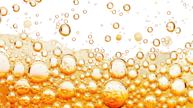 Beer bubbles on a transparent background