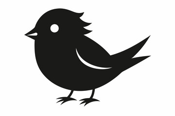 bird on a white background