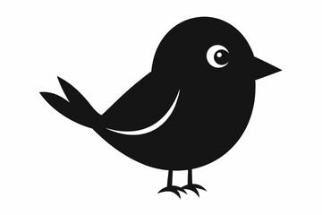 bird on a white background