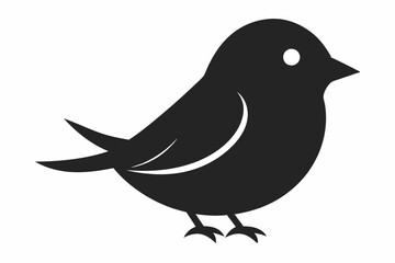 bird on a branch