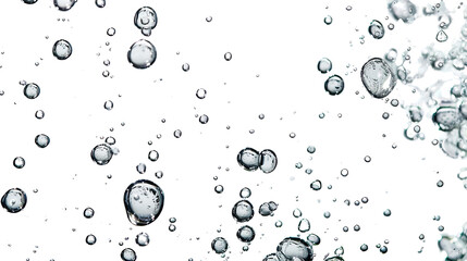 Water bubbles on a transparent background