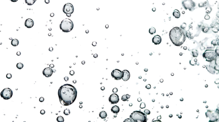 Water bubbles on a transparent background