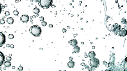 Water bubbles on a transparent background