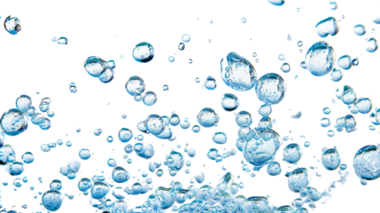 Water bubbles on a transparent background