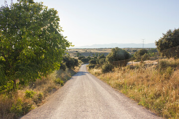 PAISAJE EN DEHESA BOYAL SAN SEBASTIAN DE LOS REYES, 