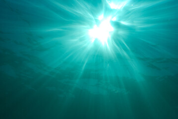 Sunlight from under the sea