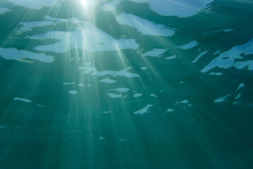 Sun rays under sea water