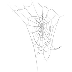 Realistic natural spider web, net. Naturally appearing spider web, mesh Contour lines drawn, drawing