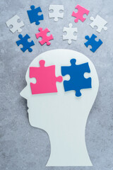 The shape of a human head with different types of gender identity puzzles. Sexual education and...