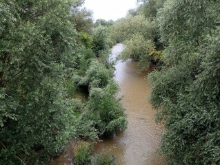 Obraz premium Top view of a river with brown dirty water flowing between banks overgrown with green trees.