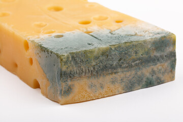 Moldy emmental cheese