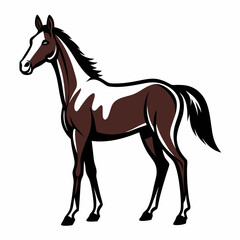 hand drawn thoroughbred horse on white background