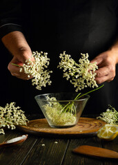 A professional chef prepares kvass, or a healthy refreshing drink, from elderflowers.