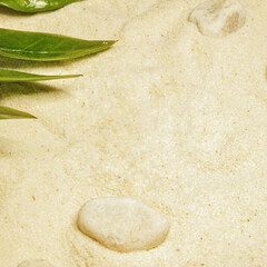 Golden sand stretches in all directions, subtly textured by gentle winds. In the corner there is a vibrant leaf rests delicately on the sand. 