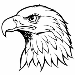 Eagle Head Icon Side View Line Art Vector Illustration