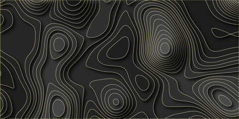 Abstract black and gray topographic geometric contour map lines background. Topographic map lines, contour background. Abstract wave lines background. Fractal lines background. 