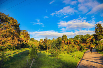 Naklejka premium autumn landscape with road