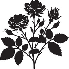 Stylish rose flower vector and illustrator